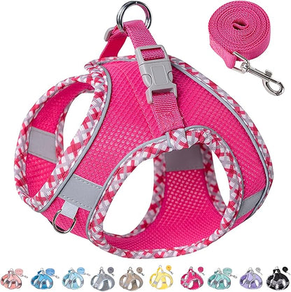 Petank Dog Harness for Small Medium Dogs No Pull, Puppy Harness and Leash Set for Walking, Running, Training, Small Dog Harness, Medium Dog Harness (Rose Red, XS)