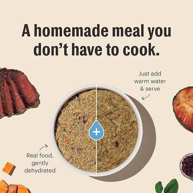 The Honest Kitchen Human Grade Wholemade™ Dehydrated Grain Free Beef Dog Food - Complete & Balanced Meal or Topper 7 lb Box