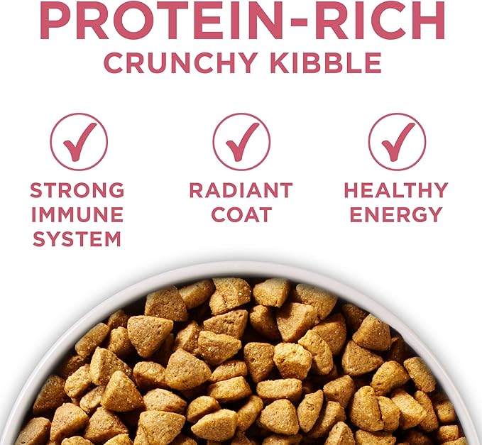 Purina ONE Natural, Sensitive Stomach Dry Dog Food, +Plus Skin & Coat Formula - 16.5 lb. Bag