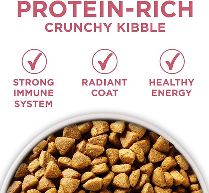 Purina ONE Natural, Sensitive Stomach Dry Dog Food, +Plus Skin & Coat Formula - 16.5 lb. Bag