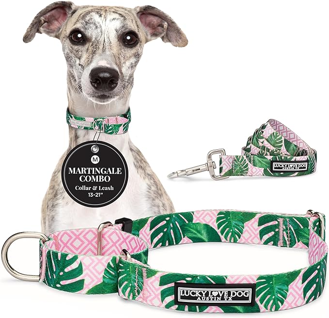 Lucky Love Dog Martingale Dog Collar & Leash - Adjustable, No-Slip, Durable, Comfortable, Soft Webbing, & Stylish Patterned Collar & Leash Set for Male and Female Dogs - Laguna Mart Combo, Medium