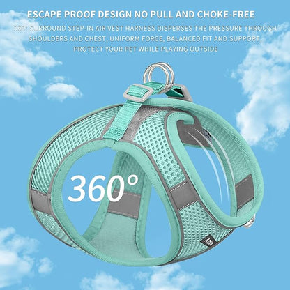 AIITLE Comfortable Dog Harness and Leash Set for Walking - Step in Vest Harness,Reflective Bands, Adjustable No Pull Puppy Essentials, for Small Dogs and House Cats Pure Turquoise XS