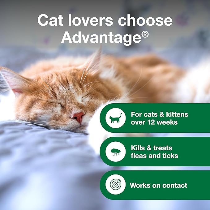 Advantage Cat Flea & Tick Shampoo for Kittens & Adult Cats | Kills Fleas & Ticks | 8 oz.