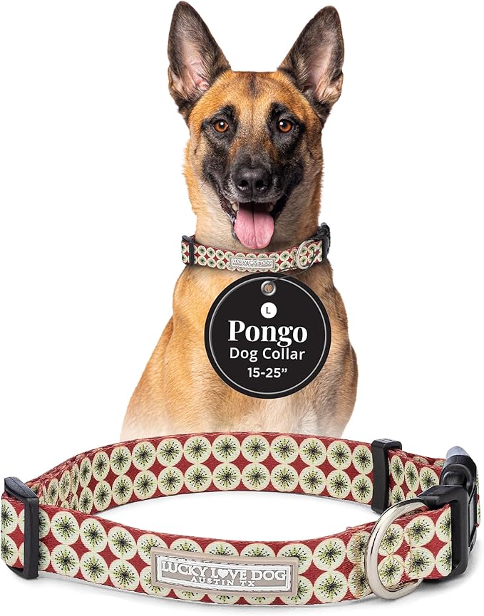 Lucky Love Dog - Adjustable Dog Collar with Easy Click Buckle for Large Ones, Durable, & Comfortable for Male & Female Dogs, Pet Collar for Puppies & Adult Dogs - Pongo, Large