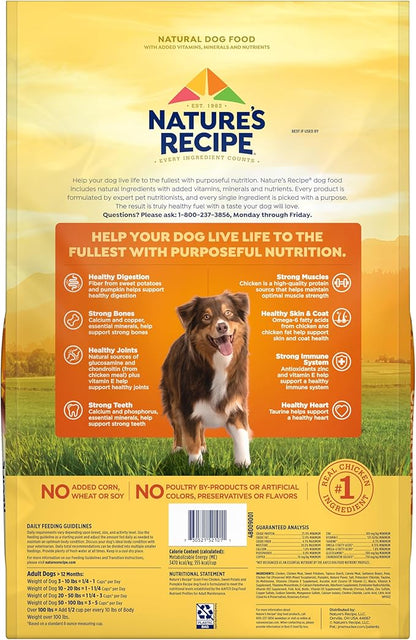 Nature's Recipe Grain Free Dry Dog Food, Chicken, Sweet Potato & Pumpkin Recipe, 12 lb. Bag