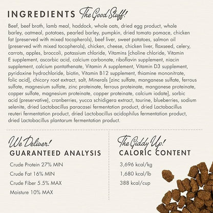 Fromm Four-Star Nutritionals Highlander Beef, Oats, & Barley Dog Food - Premium Dry Dog Food - Beef Recipe - 12 lb