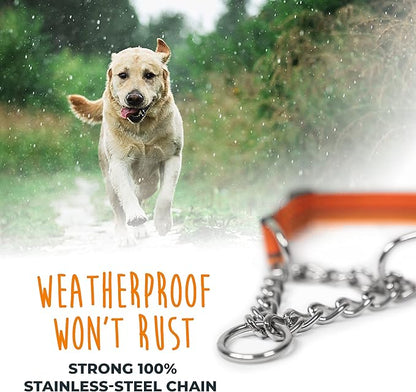 Mighty Paw Martingale Dog Collar 2.0 | Trainer Approved Limited Slip Collar with Stainless Steel Chain & Heavy Duty Buckle - Modified Cinch for Gentle & Effective Pet Training - Large, Orange