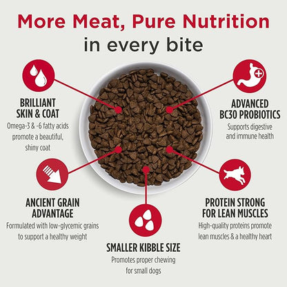Nulo Frontrunner Dry Dog Food Small Breed - High-Protein Turkey, Whitefish & Quinoa Recipe, Natural Puppy & Adult Dog Food, Small Sized Kibble with Probiotics, Taurine, Omega 3, 5lb Bag