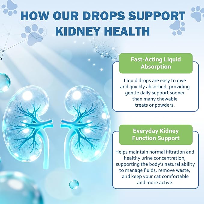 Cat Kidney Support, Kidney Support Supplement for Cats – Vet-Formulated Herbal Liquid with Rehmannia & Cordyceps to Help Support Healthy Kidney Function, Hydration, Appetite & Energy Level