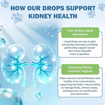 Cat Kidney Support, Kidney Support Supplement for Cats – Vet-Formulated Herbal Liquid with Rehmannia & Cordyceps to Help Support Healthy Kidney Function, Hydration, Appetite & Energy Level