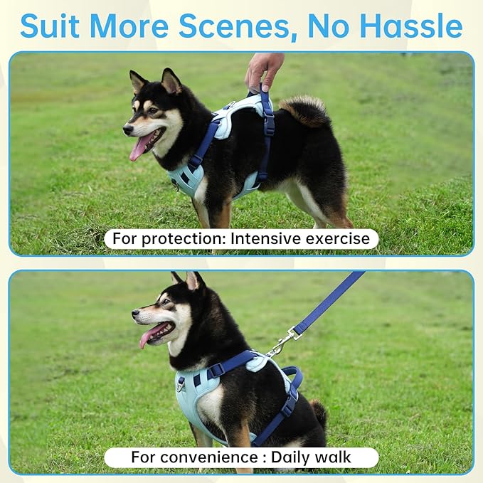 3 in 1 No Pull Dog Harness Leash and Collar Set, Soft Adjustable Dogs Vest Reflective and Comfortable Handle Blue X-Large