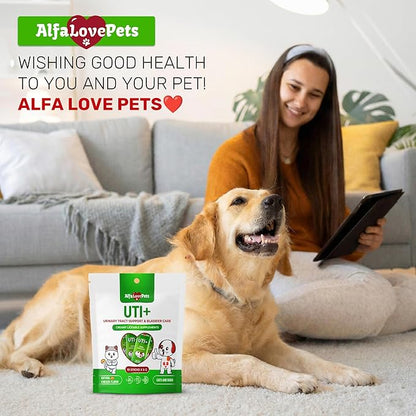 Cat UTI Treatment for Frequent Urination, Bladder & Kidney Irritation – Squeezable Dog UTI Treatment for Natural Care – Creamy UTI+ Cranberry Supplement for Dogs with Chicken Flavor – 10 Sticks x 5 g