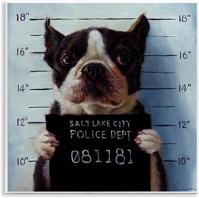 Stupell Industries Funny Boston Terrier Dog Jail Convicted Police, Design by Lucia Heffernan