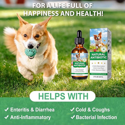 Antibiotics for Dogs, Natural Antibiotics for Dogs, Dog Multivitamin for Pets, Dog Antibiotics Helps Support a Healthy Immune System, 2 Fl Oz ﻿ ﻿ ﻿ ﻿
