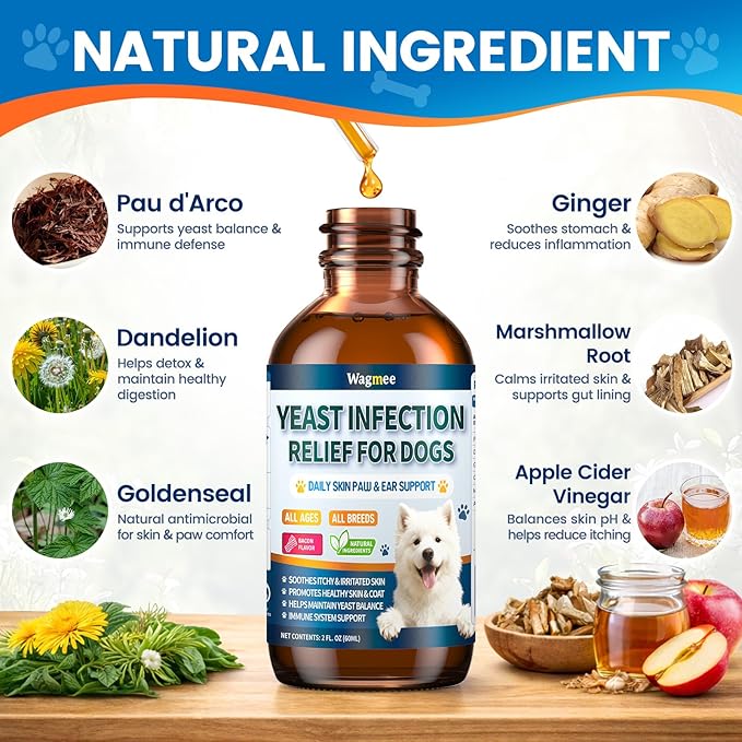 Natural Yeast Relief for Dogs, Supports Itch & Allergy Relief, Eases Ear Paw Discomfort for Dog, Supports Immune System Yeast Inflammation – 60ml Bacon Flavor