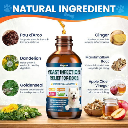 Natural Yeast Relief for Dogs, Supports Itch & Allergy Relief, Eases Ear Paw Discomfort for Dog, Supports Immune System Yeast Inflammation – 60ml Bacon Flavor