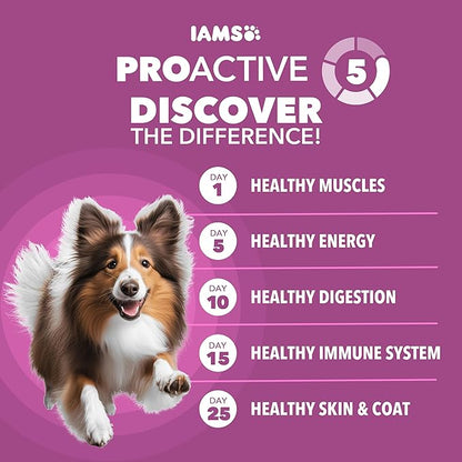 IAMS Proactive Health Dry Dog Food, Large Breed Mature Premium Adult Dog Food for Large Breeds, 15 lb. Bag