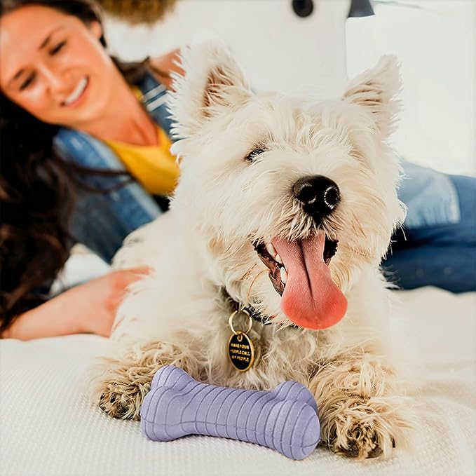 Playology Dog Toys | Dual Layer Bone Durable Chew Toy Bone for Dogs | Medium Lamb Scented Toy - Easy to Clean and Made from Non Toxic Materials