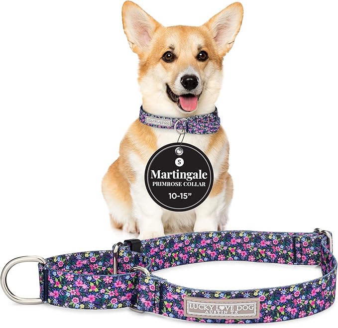 Lucky Love Dog Martingale Dog Collar - Adjustable, No-Slip, Durable, & Soft Webbing Collar for Male and Female Dogs Ideal for Training & Walking - Primrose, Small