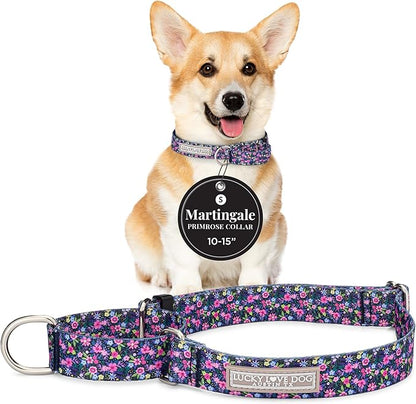 Lucky Love Dog Martingale Dog Collar - Adjustable, No-Slip, Durable, & Soft Webbing Collar for Male and Female Dogs Ideal for Training & Walking - Primrose, Small