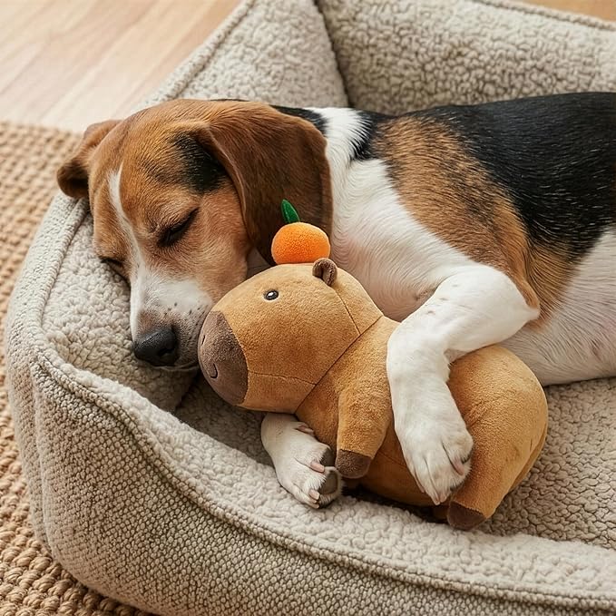 SPOT Capybara with Orange Plush Dog Toy, Soft Stuffed Squeaky & Crinkle Toy for Calm and Gentle Play, Adorable Capybara, for Light Chewers and Small Dogs, 8 Inch