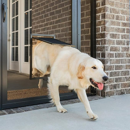 PetSafe Pet Screen Door - Heavy Duty, Tear- & Puncture-Resistant Dog & Cat Mesh Flap - Storm Door Compatible - Large - for Dogs & Cats up to 100 lb