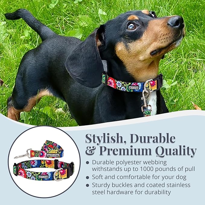 Lucky Love Dog - Easy Click Buckle Dog Collar with Leash Set Combo, Durable & Comfortable for Male & Female Dogs, Pet Collar for Small Dogs, Secure Fit - Blackbird Combo, X-Small