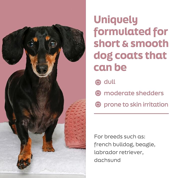 Hartz True Coat Short & Smooth Coat Dog Shampoo, 5 in 1 Soothes & Shines with Oat Milk, Coconut Oil & Vitamin E, 16 oz