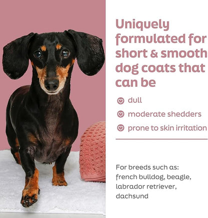 Hartz True Coat Short & Smooth Coat Dog Shampoo, 5 in 1 Soothes & Shines with Oat Milk, Coconut Oil & Vitamin E, 16 oz