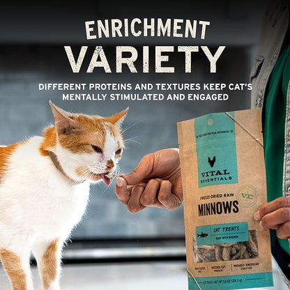 Vital Essentials Freeze Dried Cat Treats | Chicken Giblets, Single Protein | Premium Quality | Grain Free, Healthy Treats for Cats, 1 oz Bag
