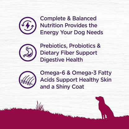 Wellness Complete Health Small Breed Adult Dry Dog Food, Grain Free Kibble, Chicken and Salmon Recipe, 4 lb Bag