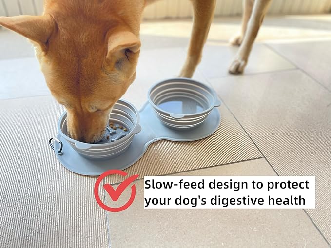 Foldable Dogs or Cats Bowl, Silicone Outdoor Feeder Dish for Pet, Camping Expandale Food and Water Bowl, Traveling Pet Feeding Watering Dish with Carabiners