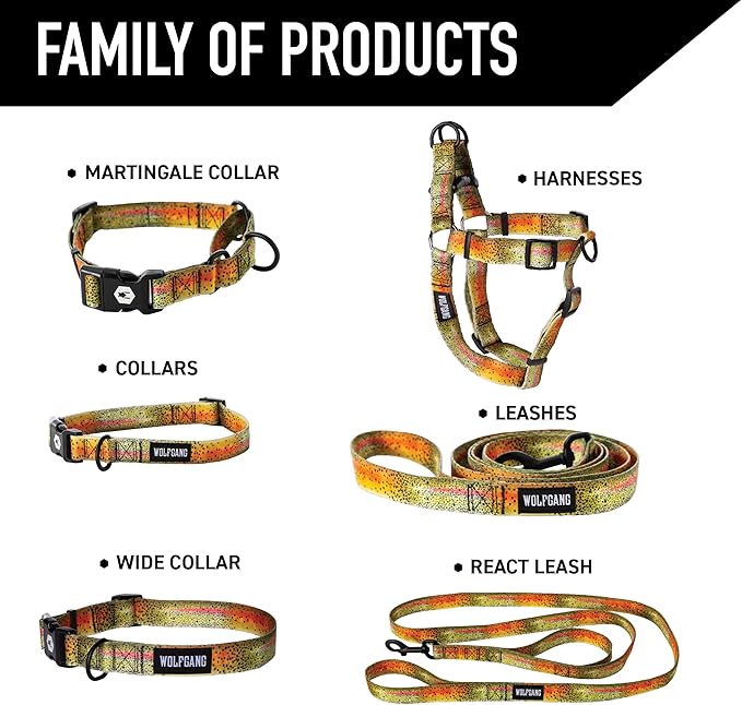 Wolfgang Heavy Duty Dog Leash, Pull-Tested for Walking & Training, Cutbow, Small