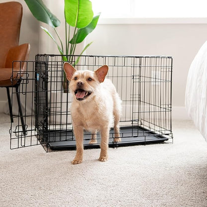 Carlson Secure and Compact Double Door Metal Dog Crate, Medium with Divider Panel