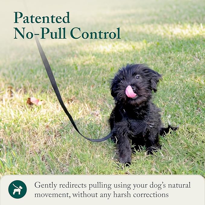 Sporn No Pull Dog Harness, Durable Nylon Mesh Harness for Small Dogs, No Choke Design, Padded Restraint Sleeves, Adjustable Fit, Easy On/Off, XS for Extra Small Breeds, Black