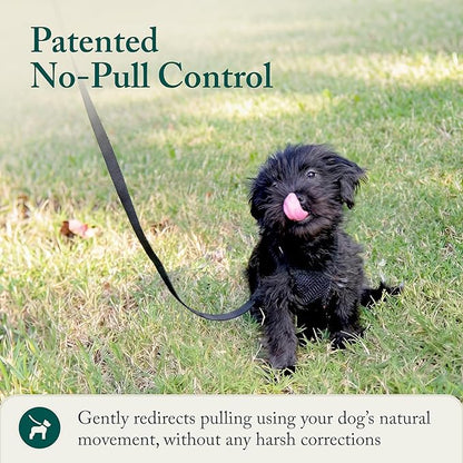 Sporn No Pull Dog Harness, Durable Nylon Mesh Harness for Small Dogs, No Choke Design, Padded Restraint Sleeves, Adjustable Fit, Easy On/Off, XS for Extra Small Breeds, Black