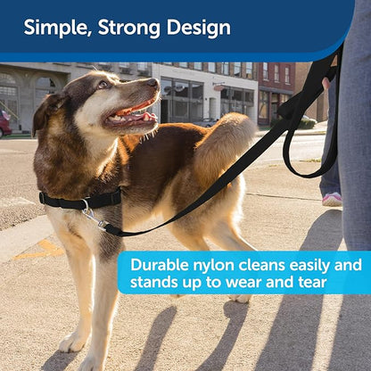 PetSafe Nylon Leash - Strong Dog Leash for Everyday Use - Secure & Simple Design for Reliable Control - Lightweight with Durable Hardware - 3/4 Inch - 6 Feet - Black