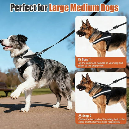 Dog Collar Safety Clip with Dual Clasps,Handmade Backup Safety Strap for Dog Harness, Collars and No Pull Harness Connectors (Black)