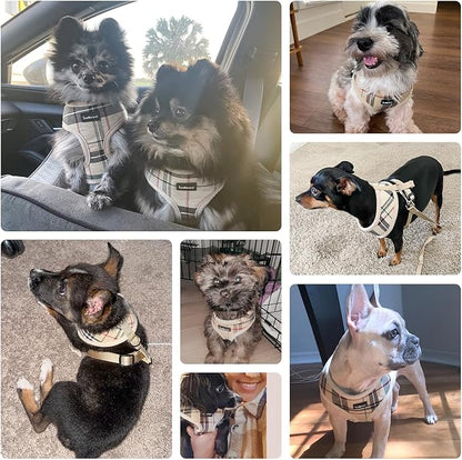 SCENEREAL Puppy Dog Harness with Leash Set for Small Medium Dogs, Soft Mesh Pet Harnesses and Leash, No Chock Plaid No Pull Vest