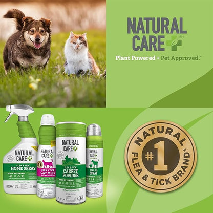Natural Care Flea and Tick Carpet Powder, Flea & Tick Treatment for Rugs, Carpet, and Pet Bedding, Pet Essential, Pest Prevention, 8.1 oz Canister (Pack of 4)