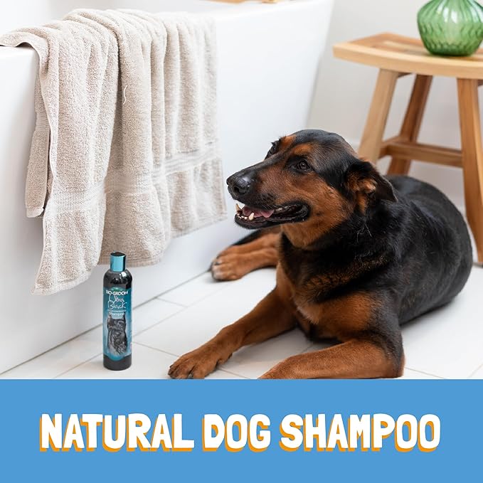 Bio-Groom Ultra-Black Dog Shampoo – Color Enhancing Pet Shampoo, Dog Bathing Supplies, Puppy Wash, Dog Grooming Supplies, Cruelty-Free, Made in USA, Coat Brightener Shampoo – 12 fl oz 1-Pack