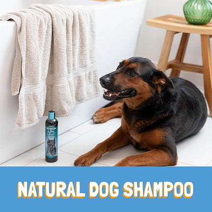 Bio-Groom Ultra-Black Dog Shampoo – Color Enhancing Pet Shampoo, Dog Bathing Supplies, Puppy Wash, Dog Grooming Supplies, Cruelty-Free, Made in USA, Coat Brightener Shampoo – 12 fl oz 1-Pack