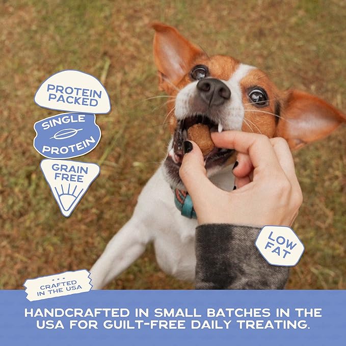 Smart Cookie All Natural Soft Dog Treats - Trout & Apple - Healthy Dog Treats for Allergies, Sensitive Stomachs - Chewy, Grain Free, Human-Grade, Made in The USA - 5oz Bag