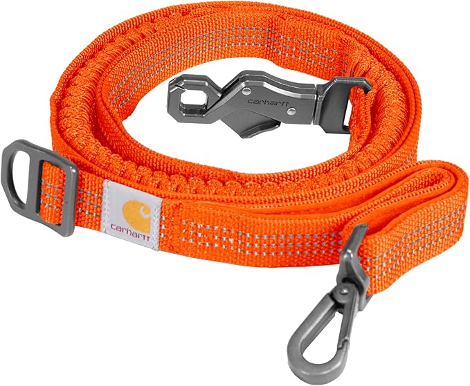 Carhartt Pet Durable Nylon Webbing Shock Absorbing Leash for Dogs, Reflective Stitching for Visibility, Hunter Orange, Large