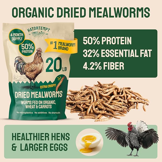 Hatortempt 20lb Dried Mealworms for Chickens - 50% Protein and 32% Essential Fats to Support Healthy Feather Growth During Molt - Organic Treats for Chickens, Ducks, Wild Birds & Reptiles