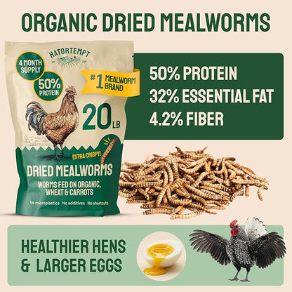 Hatortempt 20lb Dried Mealworms for Chickens - 50% Protein and 32% Essential Fats to Support Healthy Feather Growth During Molt - Organic Treats for Chickens, Ducks, Wild Birds & Reptiles