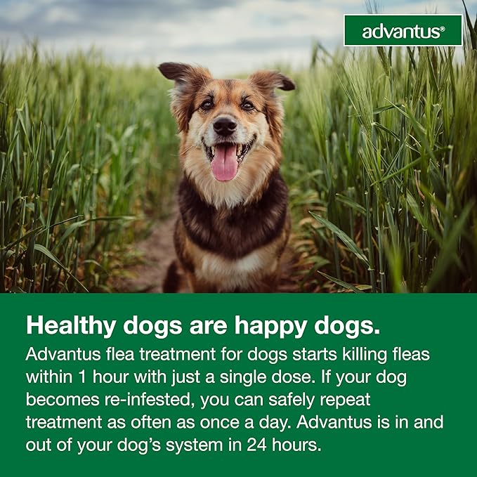 Advantus Dog Fast Acting Oral Flea Treatment Soft Chewable 4 - 22 lbs. | 30 ct.