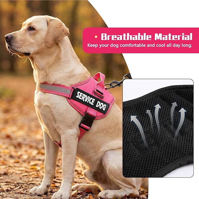 MUMUPET Service Dog Vest Harness, No Pull Reflective Adjustable with Handle, Soft Breathable Padding for Small Dogs, 2 Removable Velcro Patches (Hot Pink, XS)