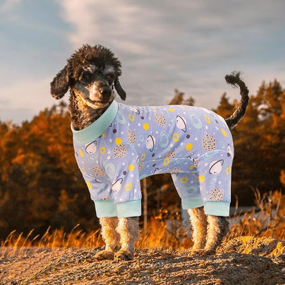 Dog Surgery Recovery Suit, Dog Onesie for Surgery Female Male Dogs, Dogs Pajamas Long Sleeve, Small Dogs Onesie, Abdominal Wound Bandages Surgical Suit, Cat Recovery Suit for Shedding Skin Disease