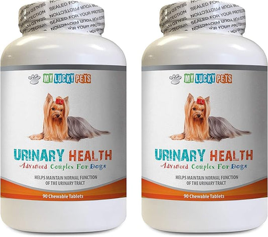 Dog UTI kit - Dog Urinary Health Formula - Helps with Incontinence and Bladder Issues - Immune Boost - Dog Urinary Gold - 2 Bottles (180 Treats)